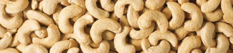 close-up van cashewnoten